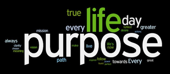 Life Purpose